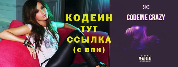 молекула духа Майский