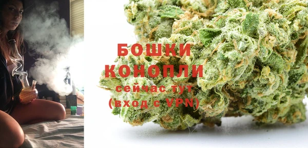 молекула духа Майский