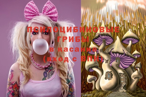 дживик Осташков