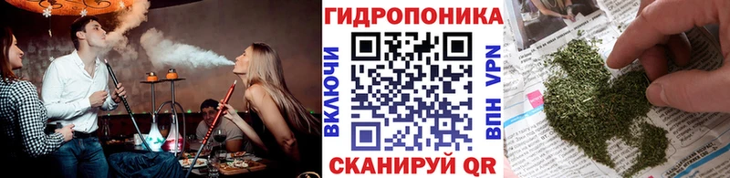 где можно купить наркотик  shop состав  Марихуана сатива  Терек  MEGA онион 